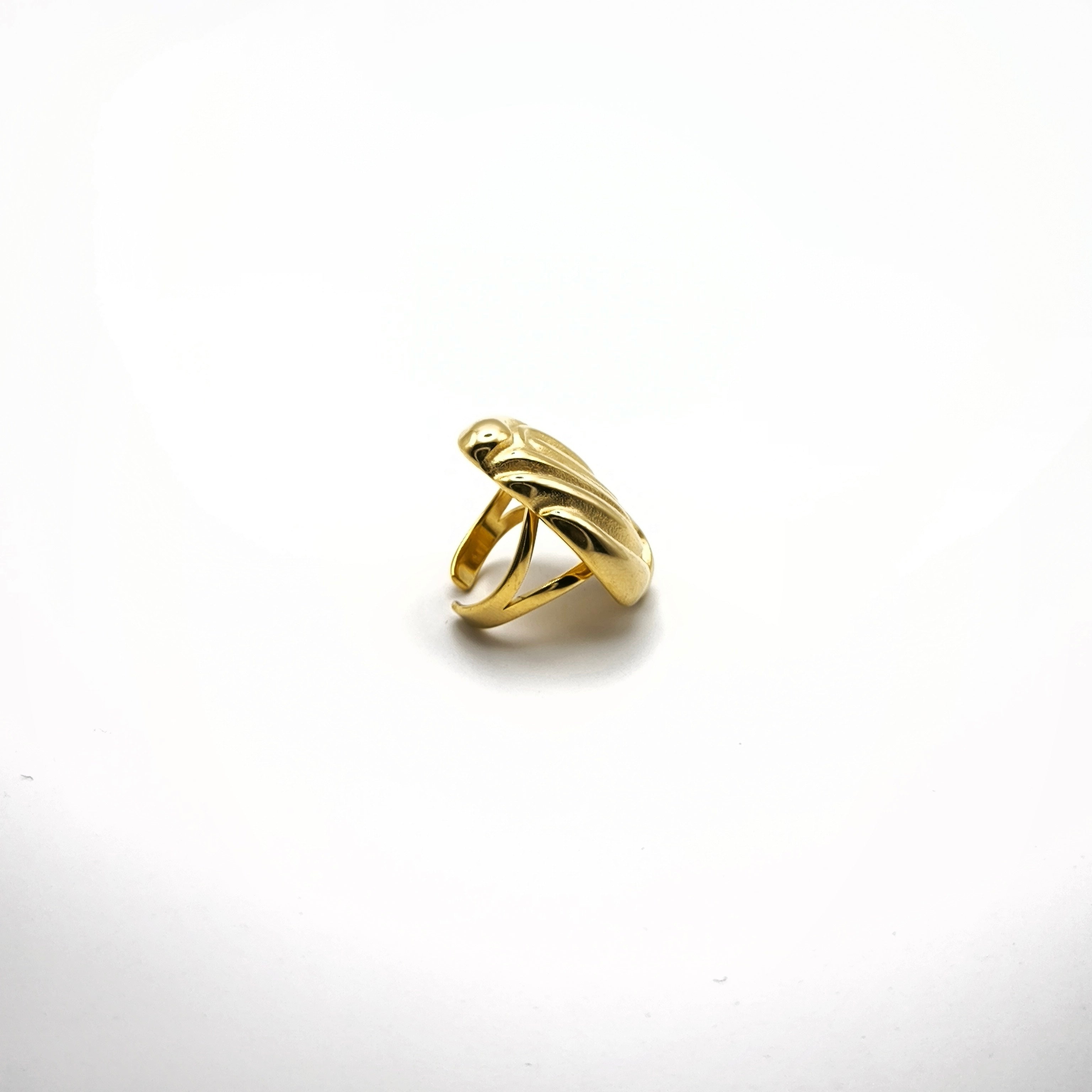 Δαχτυλίδι Μεγάλο Πέτρα