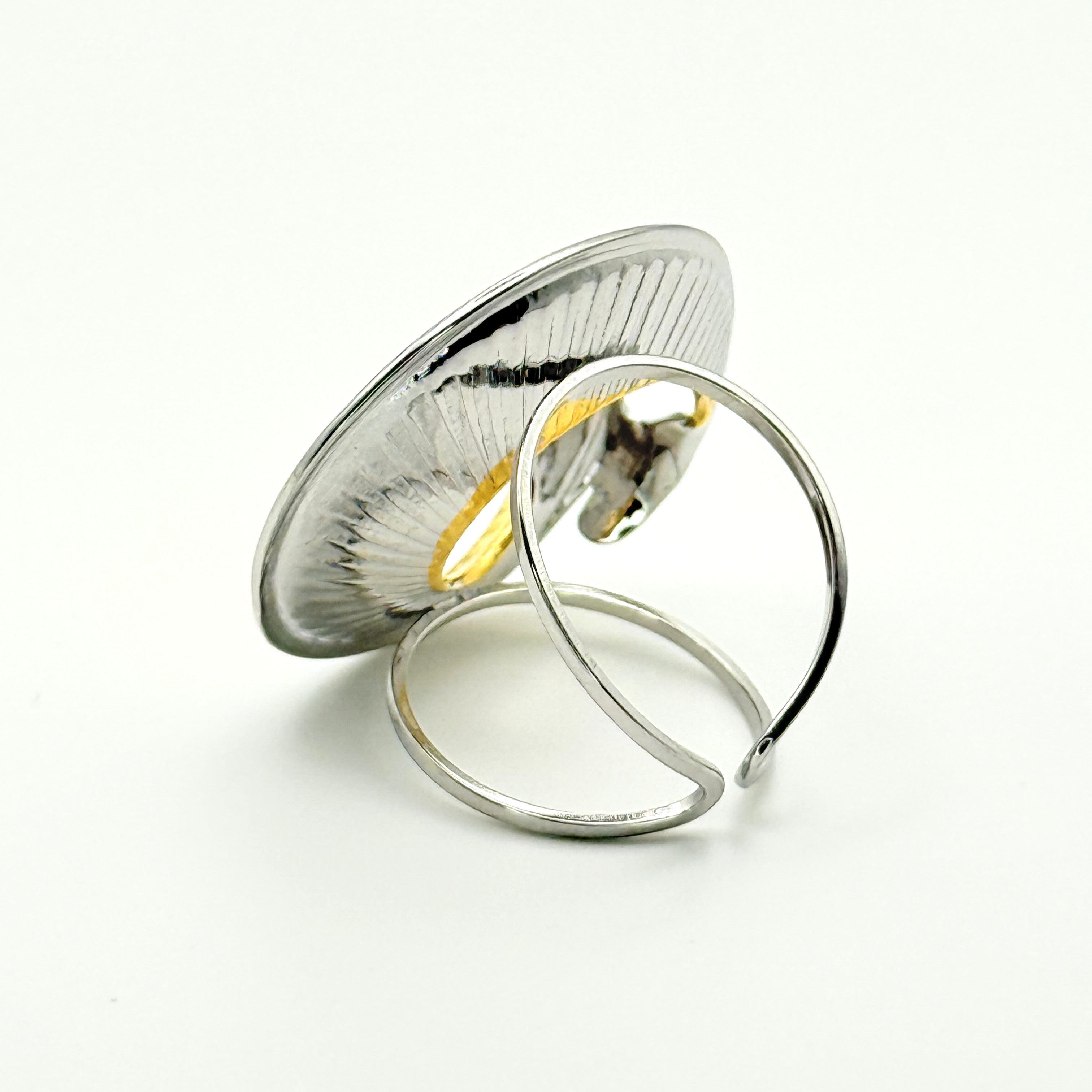 Δαχτυλίδι Ατσάλινο Δίχρωμο Στριφτό